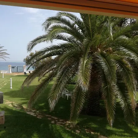 Haizea En * Denia
