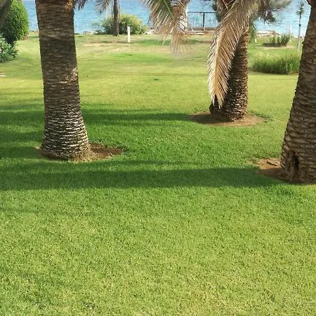 Haizea En * Dénia